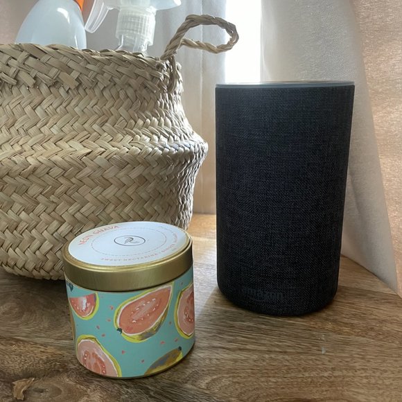 SOLD The Echo - Picture 4 of 6